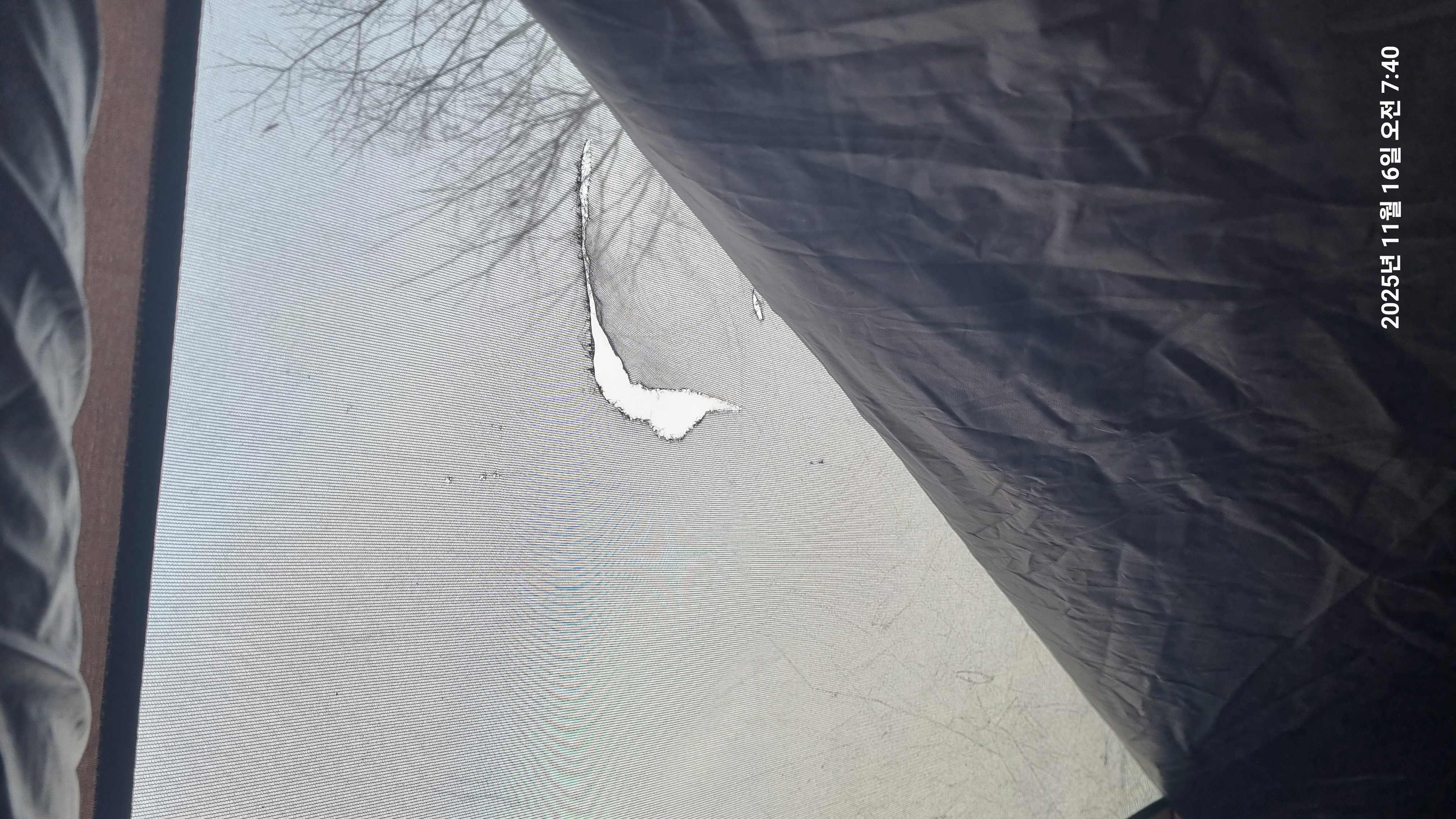 20251116_074014.jpg