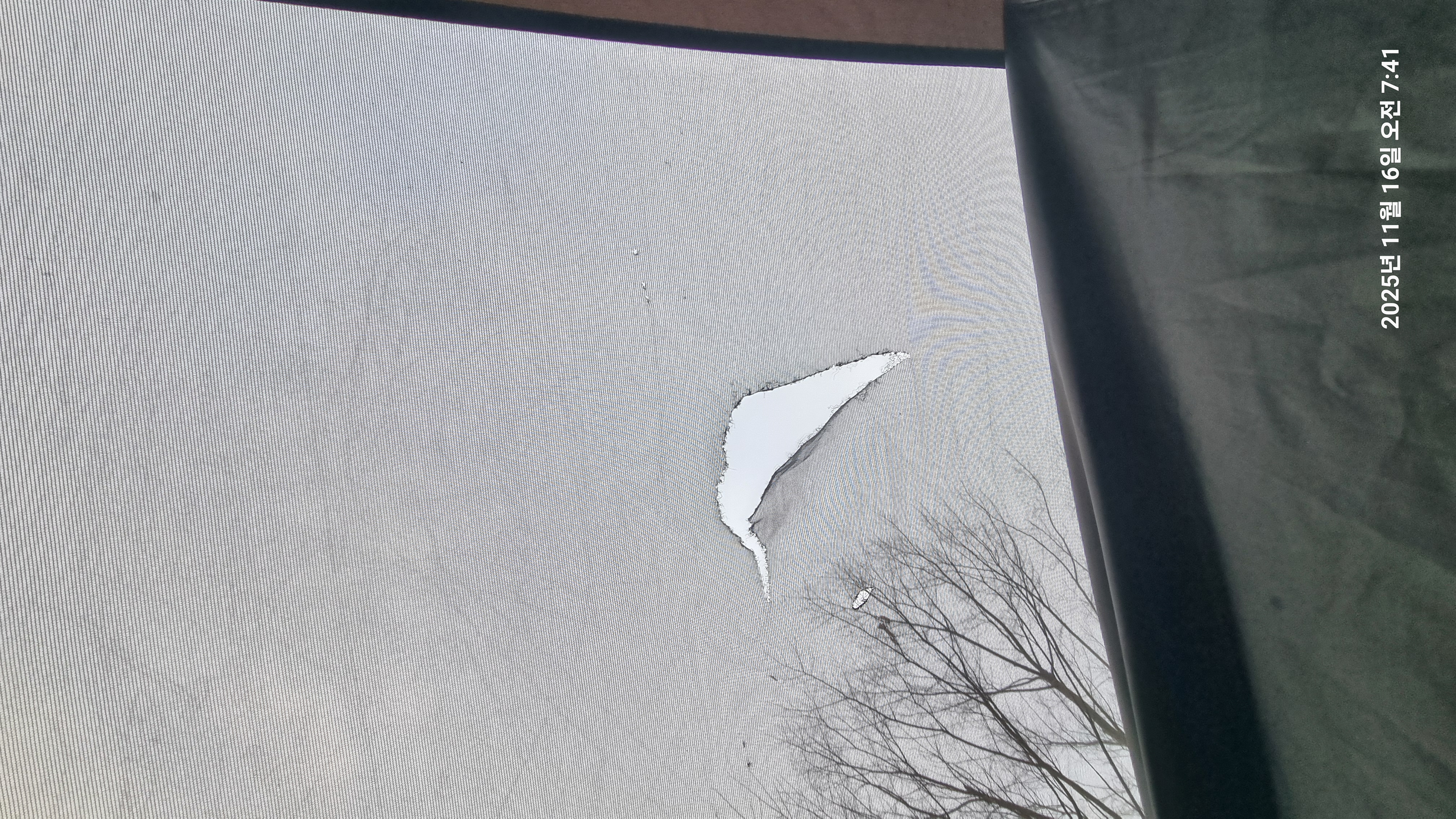20251116_074107.jpg