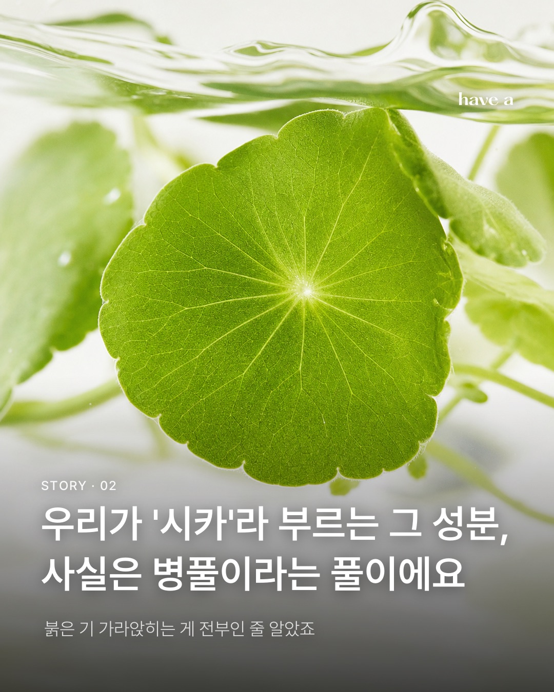 MAGAZINE 이미지 2