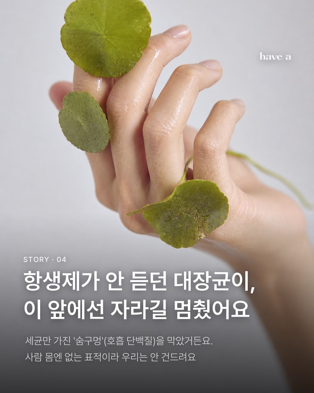 MAGAZINE 이미지 4