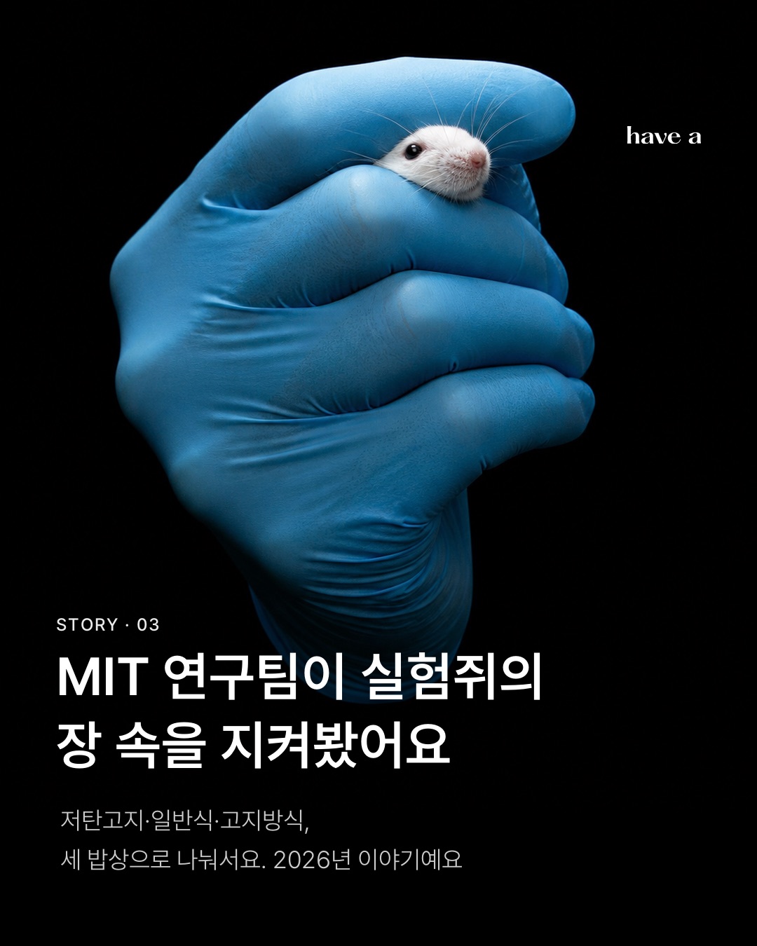 MAGAZINE 이미지 3