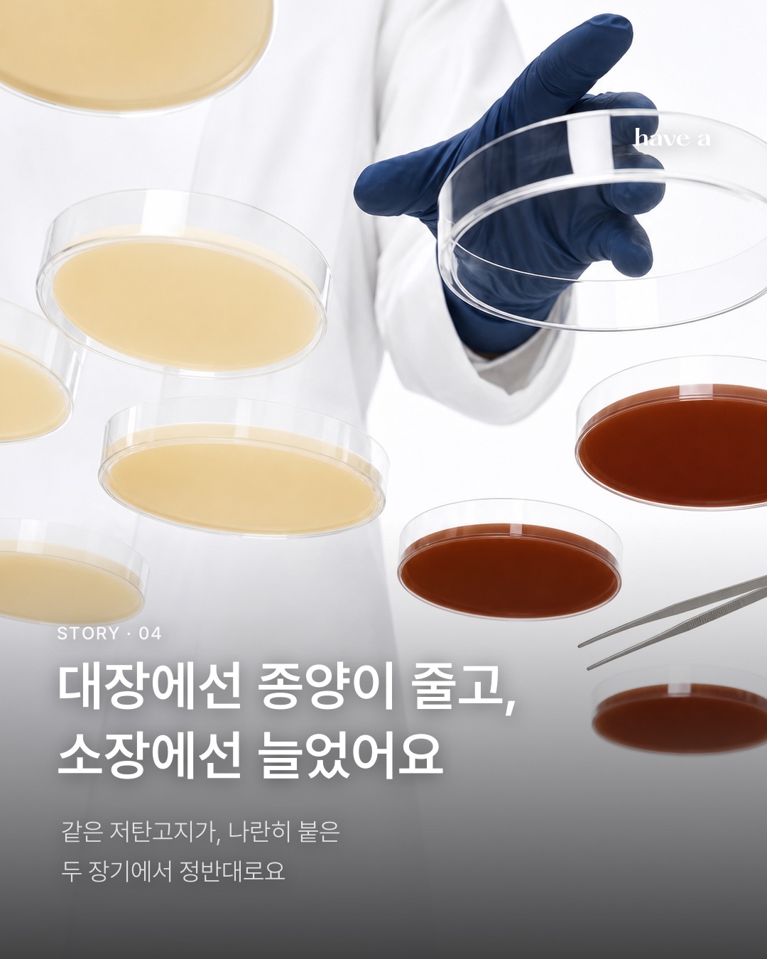 MAGAZINE 이미지 4