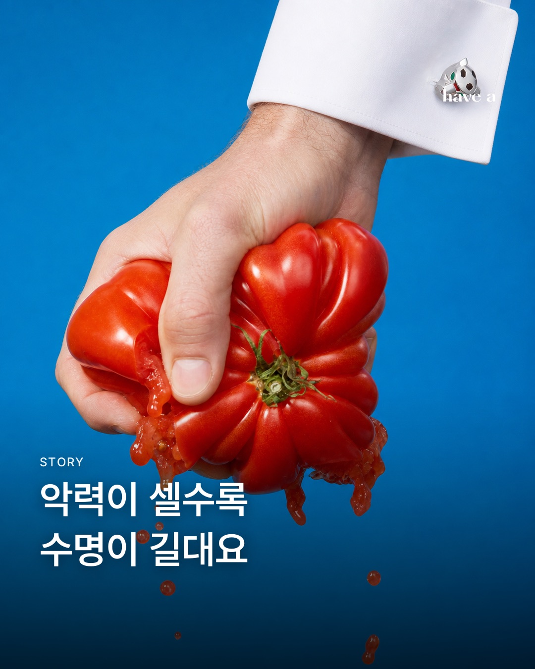 MAGAZINE 이미지 1