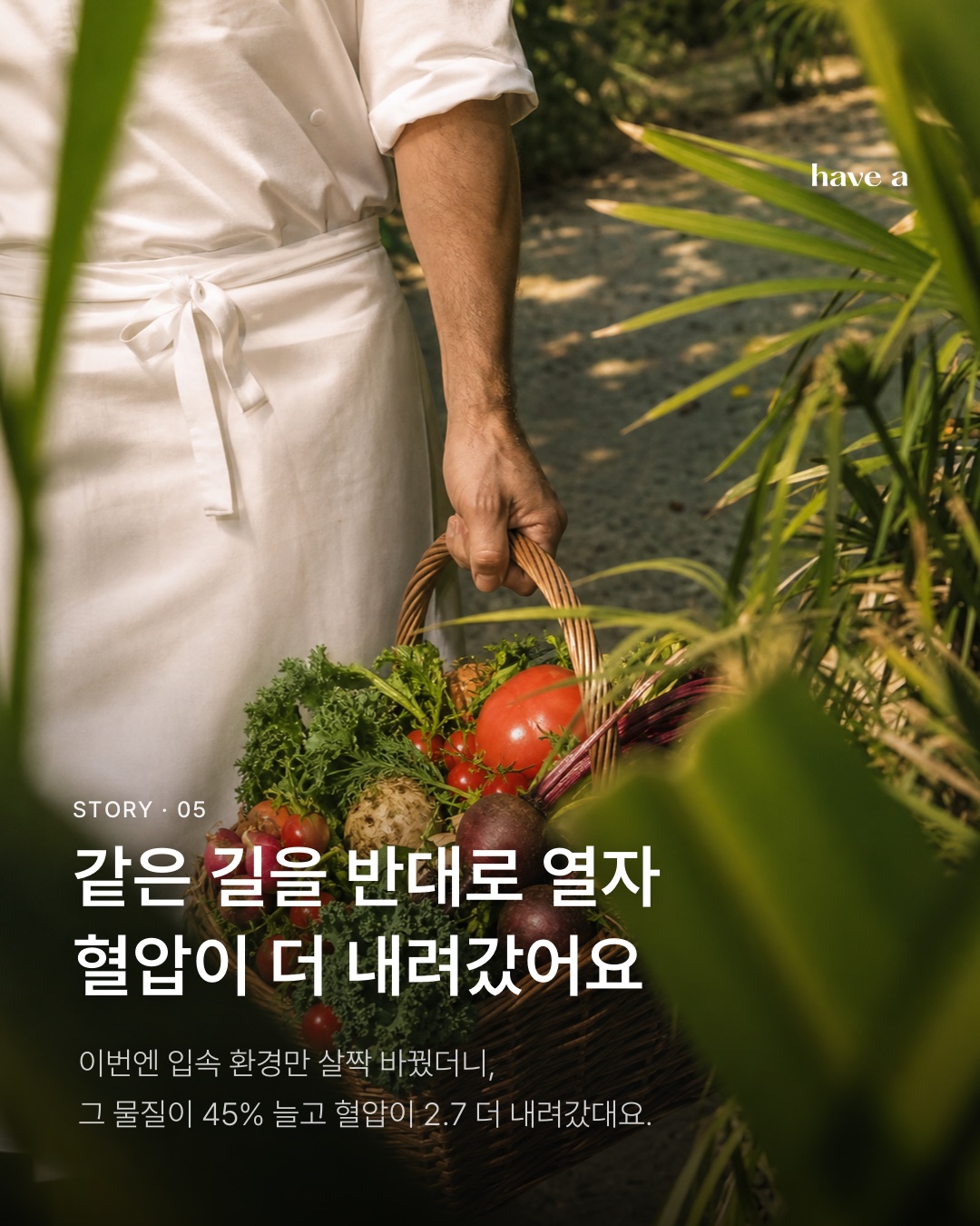 MAGAZINE 이미지 5