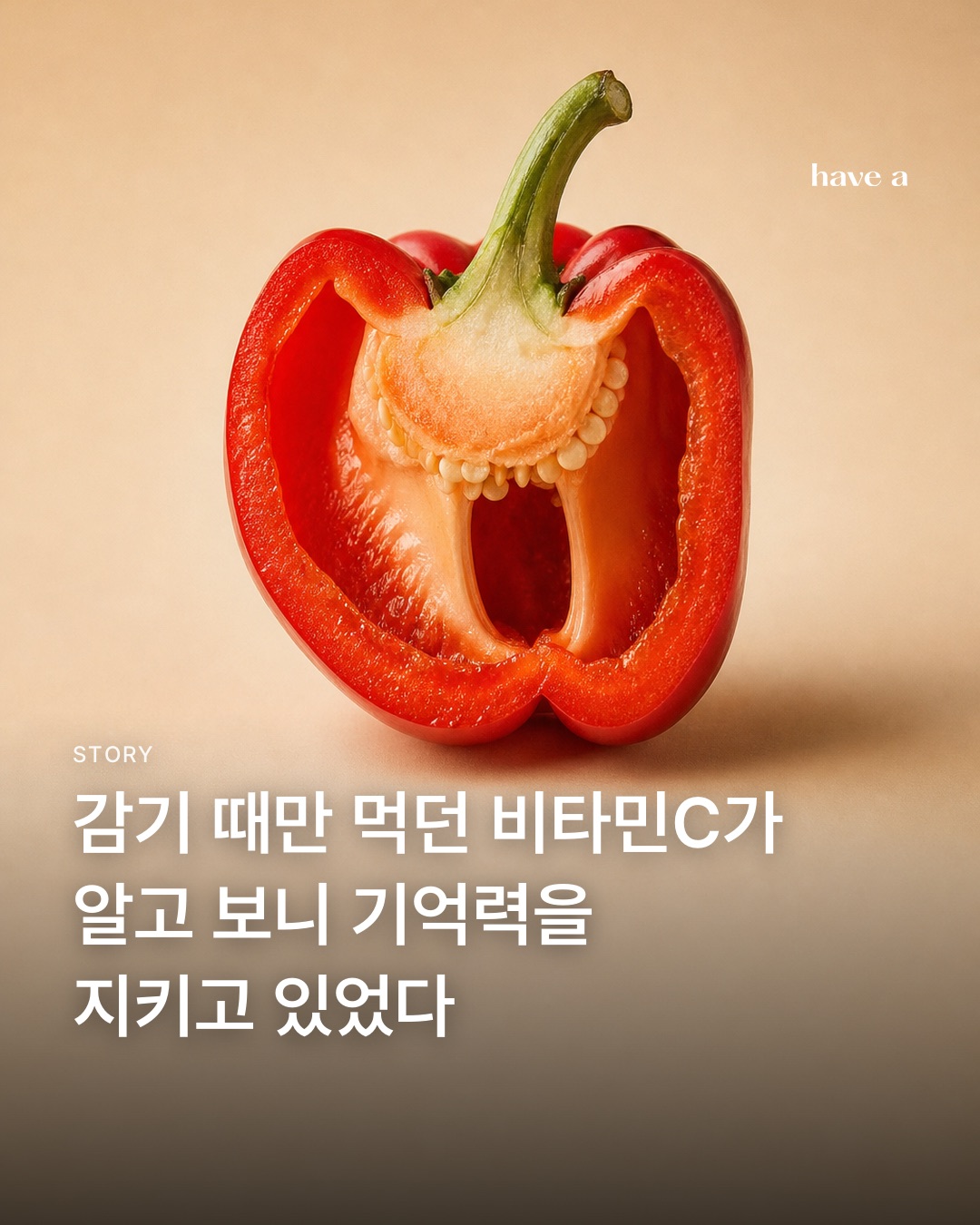 MAGAZINE 이미지 1