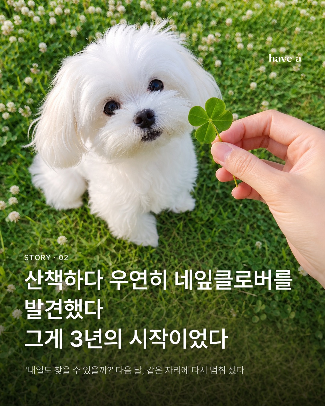 MAGAZINE 이미지 2