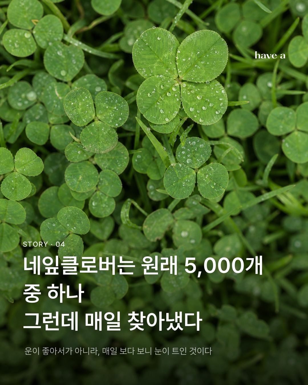 MAGAZINE 이미지 4
