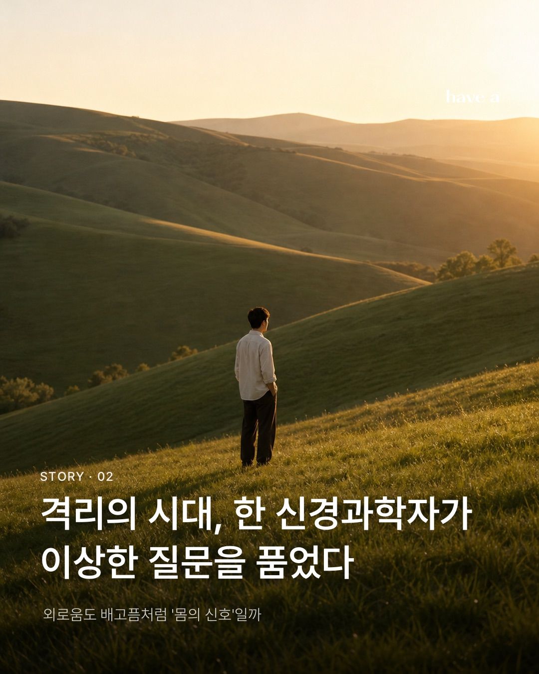 STORY 이미지 2