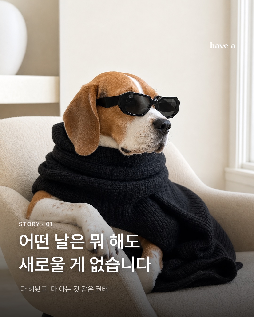 STORY 이미지 2