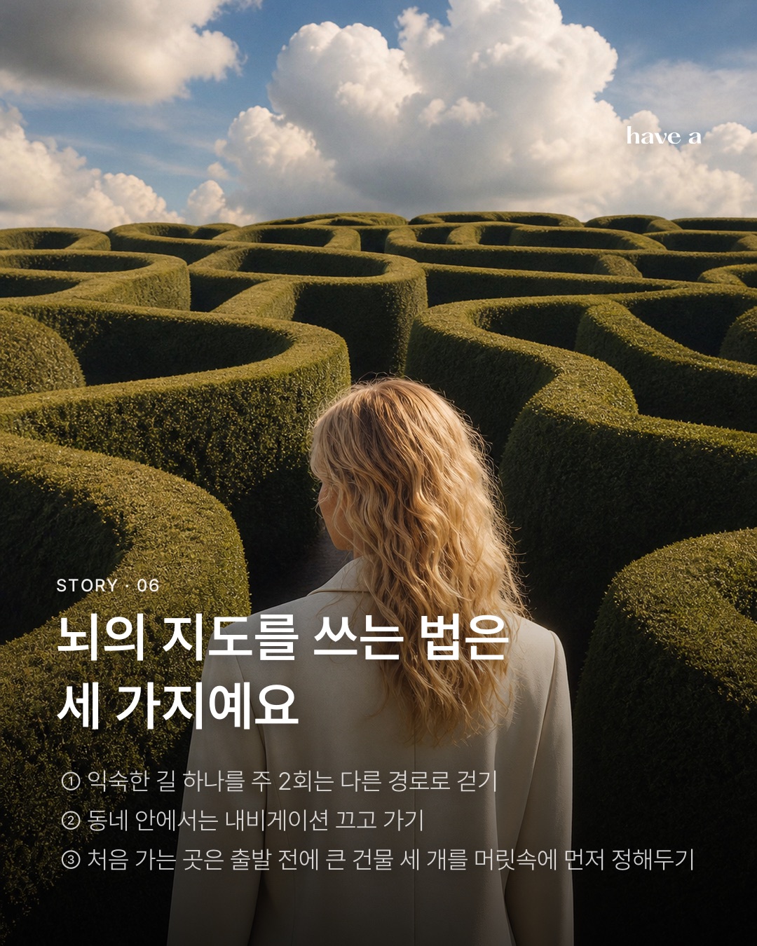 STORY 이미지 6