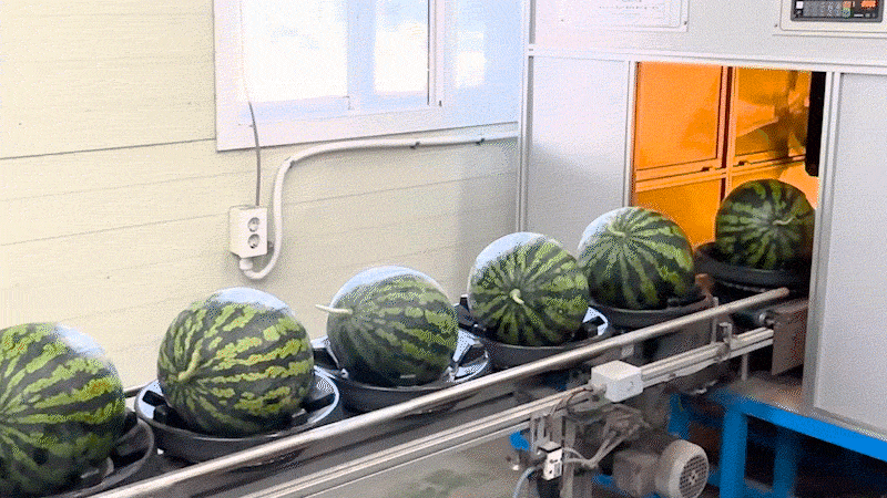 20250523115915_2.gif